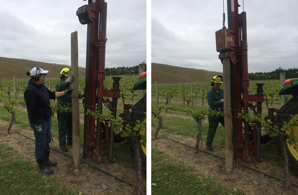  Driving replacement vineyard posts with Practical Vineyard Solutions, Marlborough